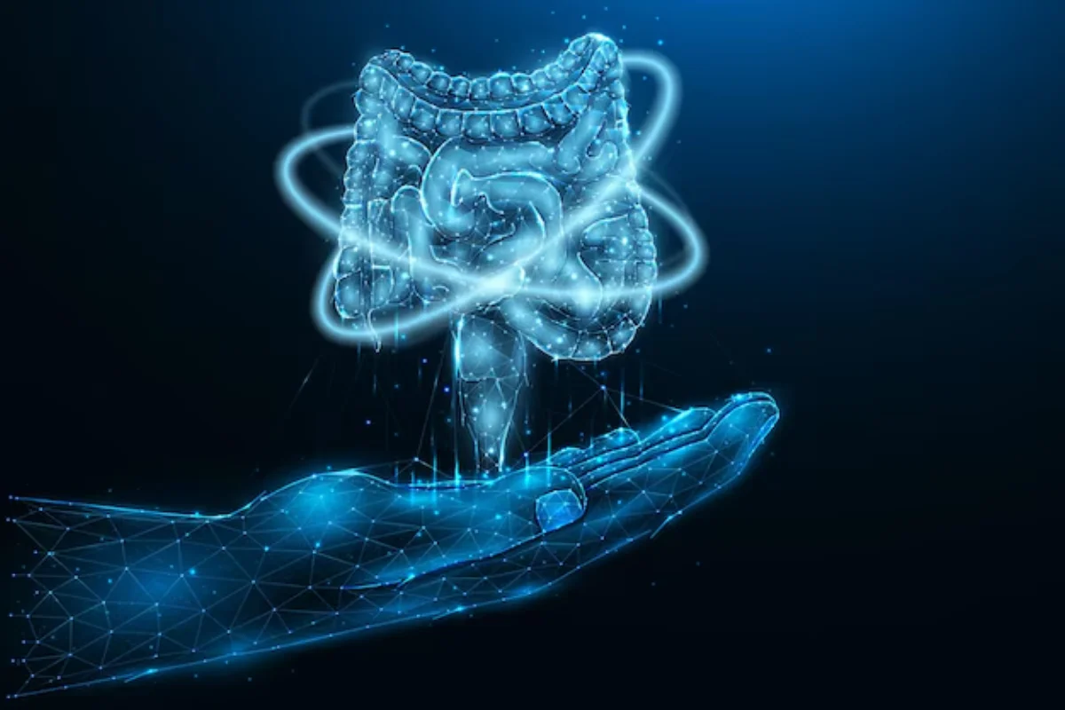 Digestive Comfort & Gut Healing Treatment